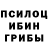 Псилоцибиновые грибы мицелий Artem_ _mooN