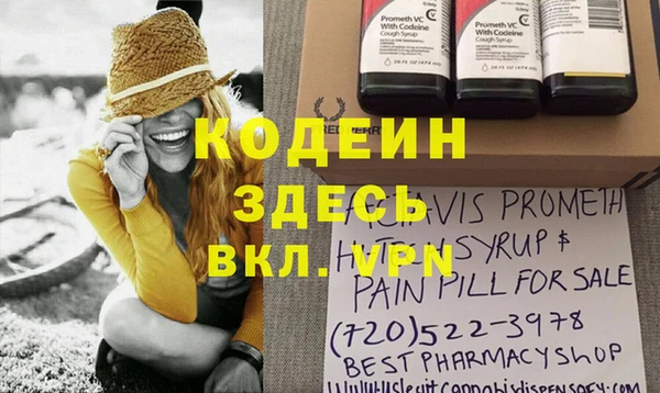 прущий лед Алзамай