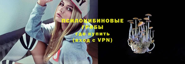 прущий лед Алзамай