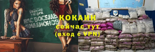 дживик Алексин
